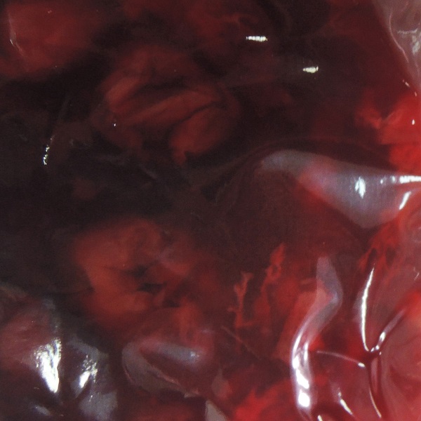Zeelandia Frugella Višeň 1 kg