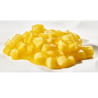 Zeelandia Fruitful Mango 2,7 kg