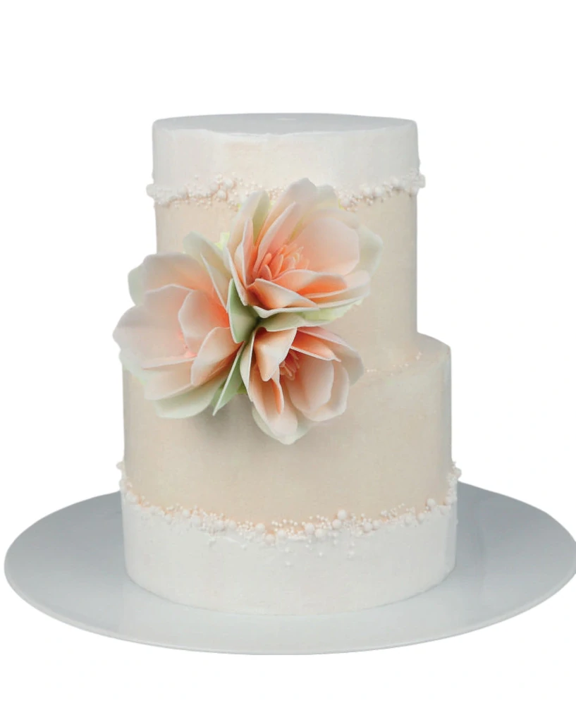 Dekorace oplatková - Magnólie smetanová 6 ks