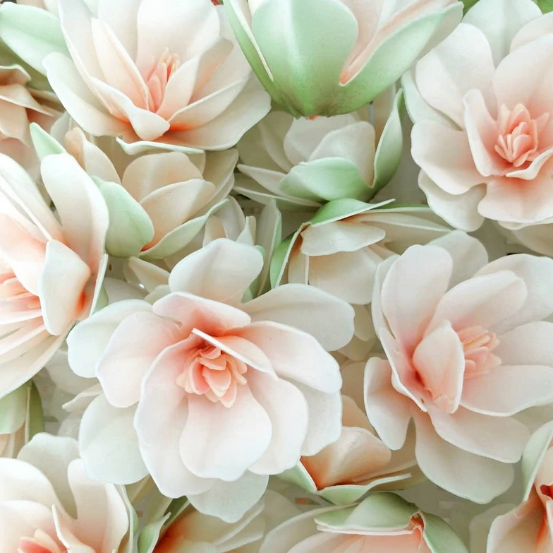 Dekorace oplatková - Magnólie smetanová 6 ks