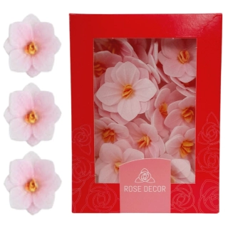 Dekorace oplatková - Hortenzie růžová stínovaná 18 ks