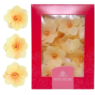 Dekorace oplatková - Hortenzie medová 18 ks